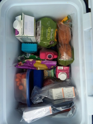 The Cold Cooler holds the back-up supply of insulin, special foods and more.